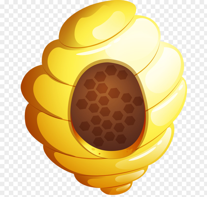 Golden Honey Beehive Honeycomb PNG