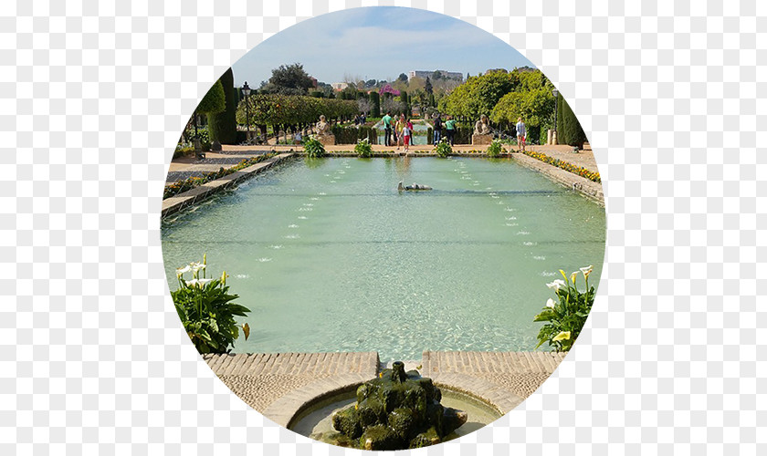 Hotel Málaga Alcázar De Los Reyes Cristianos Mosque Of Cordoba Cortijo Blanco PNG