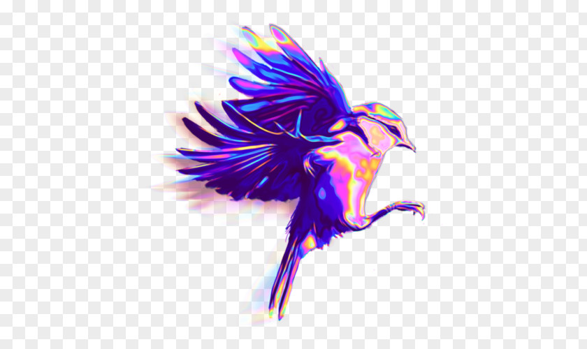 Pf Bird Beak Desktop Wallpaper Clip Art Illustration PNG