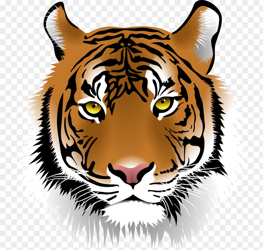 Tiger Face Clipart Bengal Sumatran Clip Art PNG