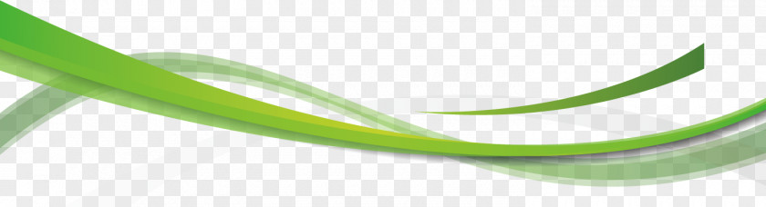 Vector Cartoon Green Background With Wavy Lines Brand PNG