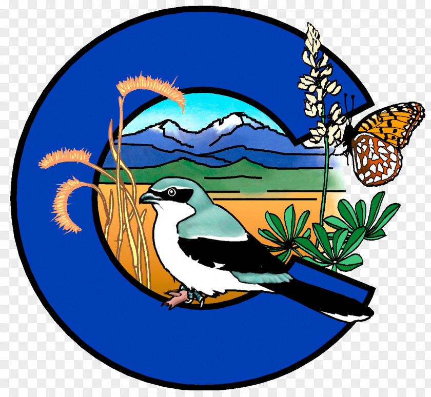 Wetland Plants Colorado Natrual Heritage Program Clip Art Natural Cultural Nature PNG