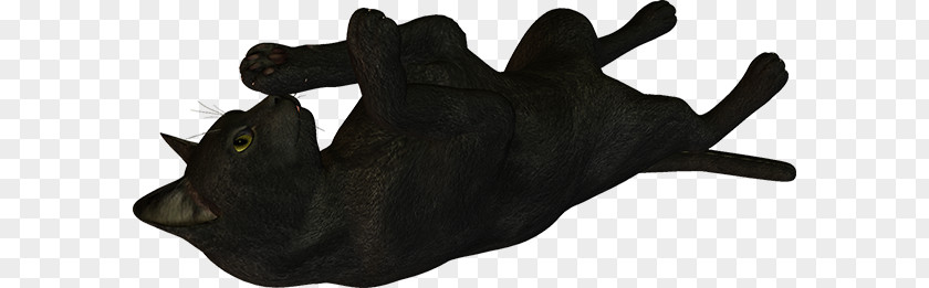 Cat Black Snout PNG