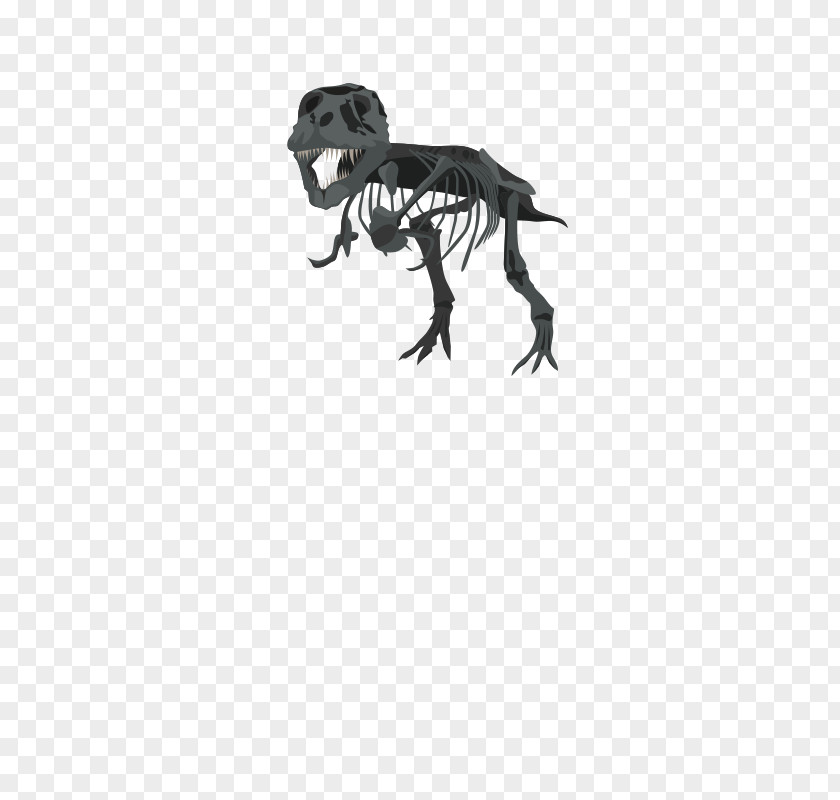 Dinosaur Vector Tyrannosaurus Triceratops Skeleton Clip Art PNG