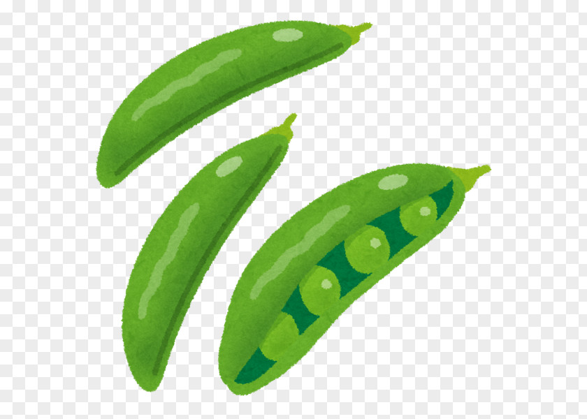 Green Peas Snow Pea Edible-podded Bean Vegetable Food PNG