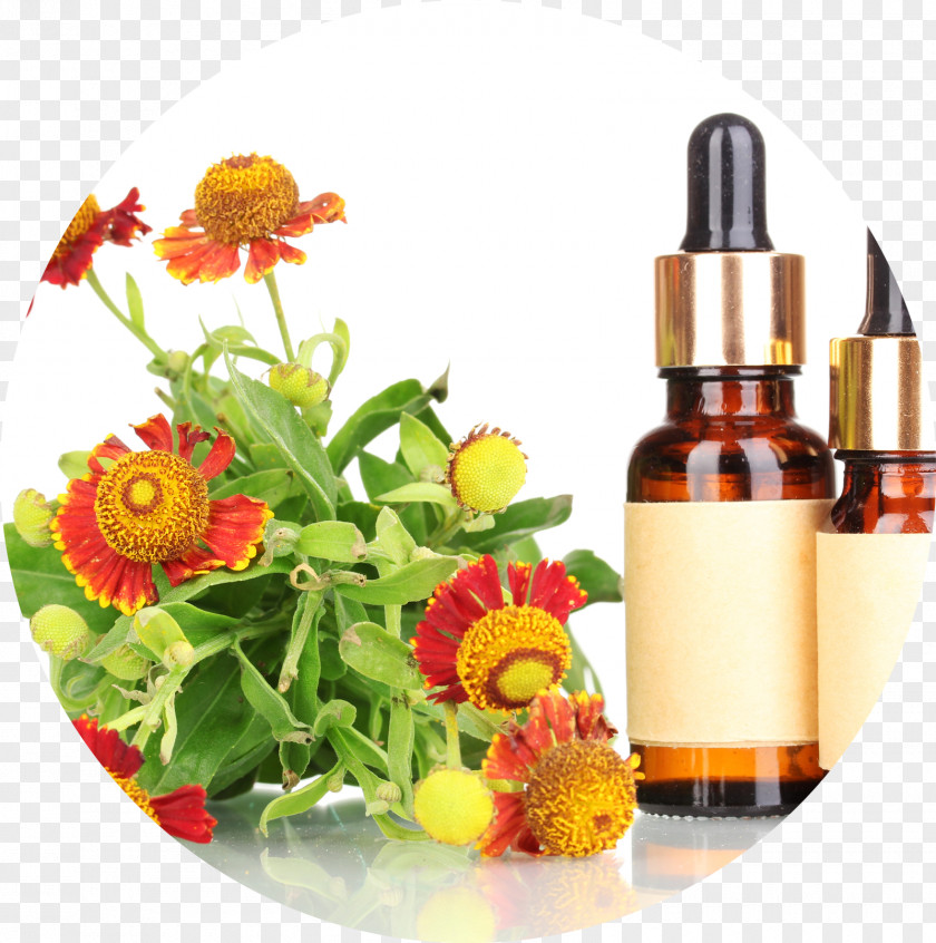 Health Bach Flower Remedies Therapy Homeopathy Apotheke Am Zoo PNG