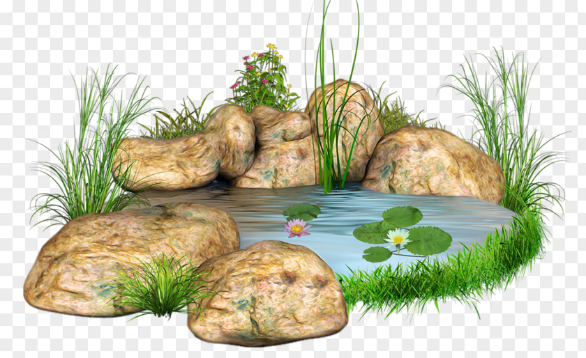 Mo He Pond Stone Body Of Water Landscape Design Clip Art PNG