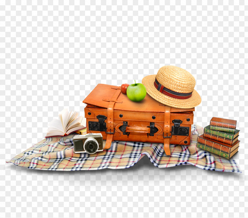 Brown Picnic Luggage Decoration Pattern Icon PNG