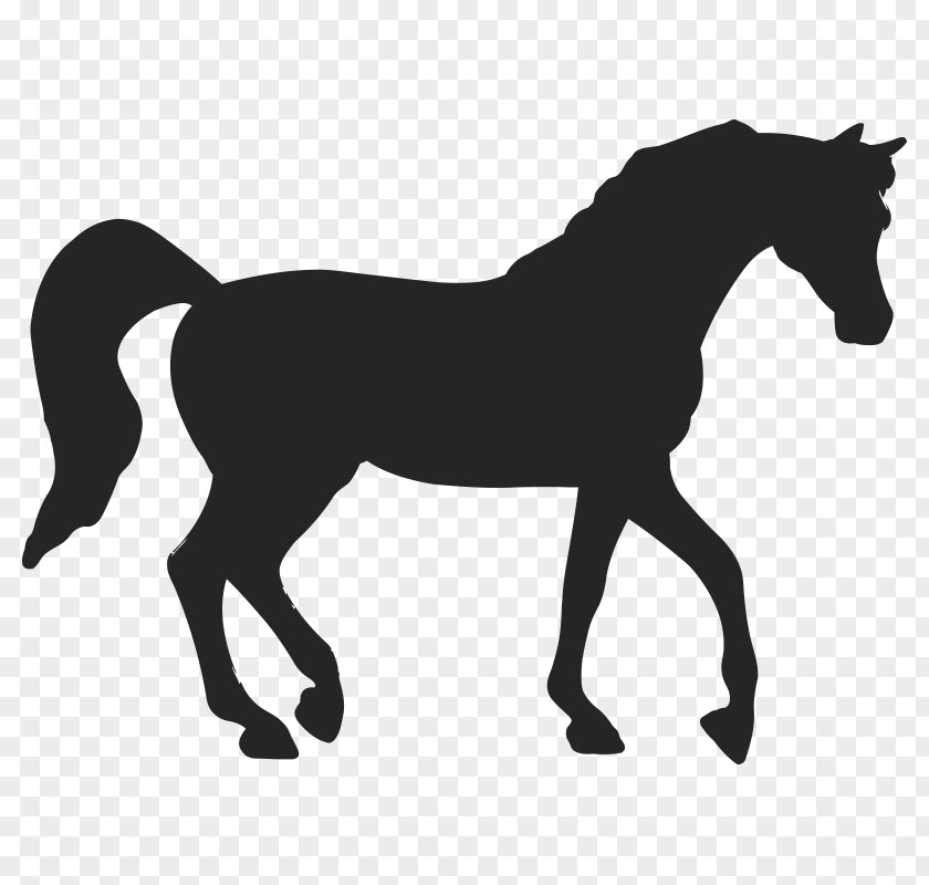 Horse Stencil PNG
