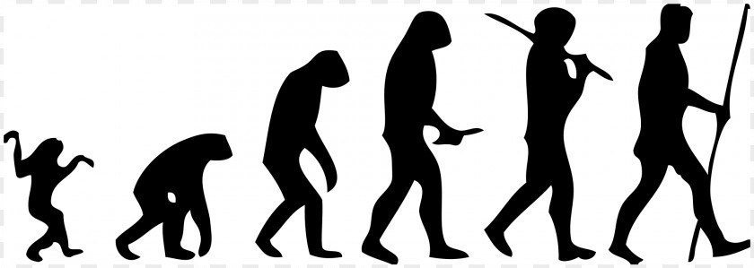 Juggling March Of Progress Homo Sapiens Ape Human Evolution PNG