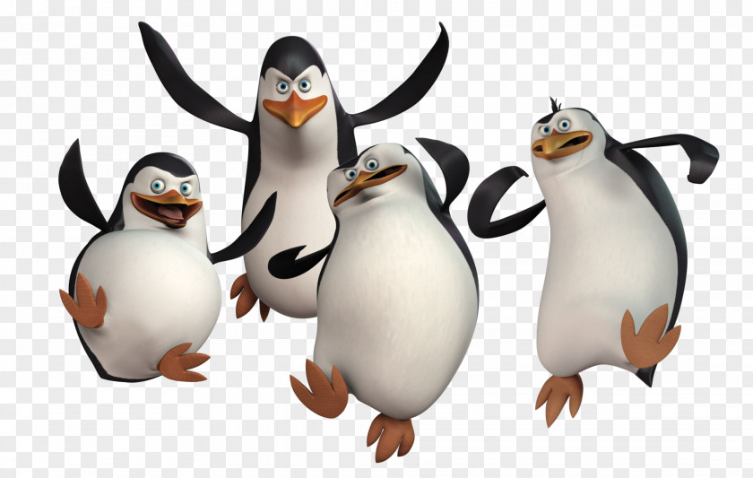 Penguins Image, Madagascar Image Penguin Film DreamWorks Animation PNG