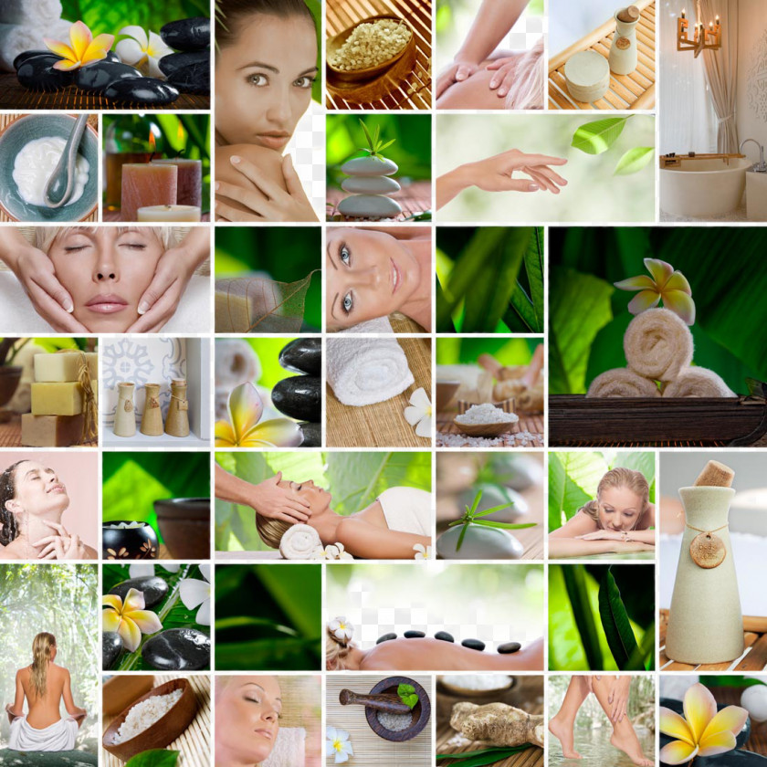 SPA Health Material Brazilian Silhouette Day Spa Stock Photography Beauty Parlour PNG