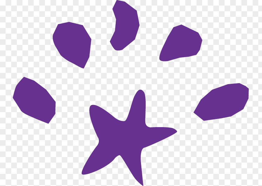 Star Euclidean Vector Clip Art PNG