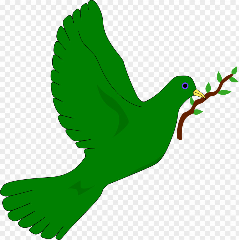 Bird Doves As Symbols Common Emerald Dove Clip Art PNG