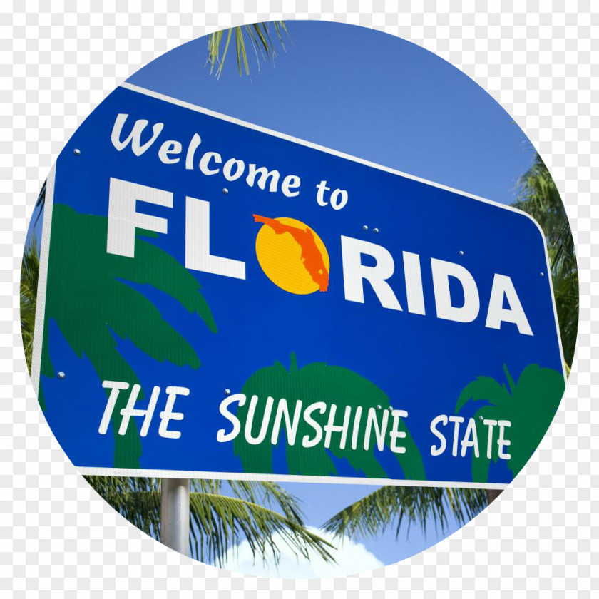Florida Amendment 2 U.S. State Constitution California PNG