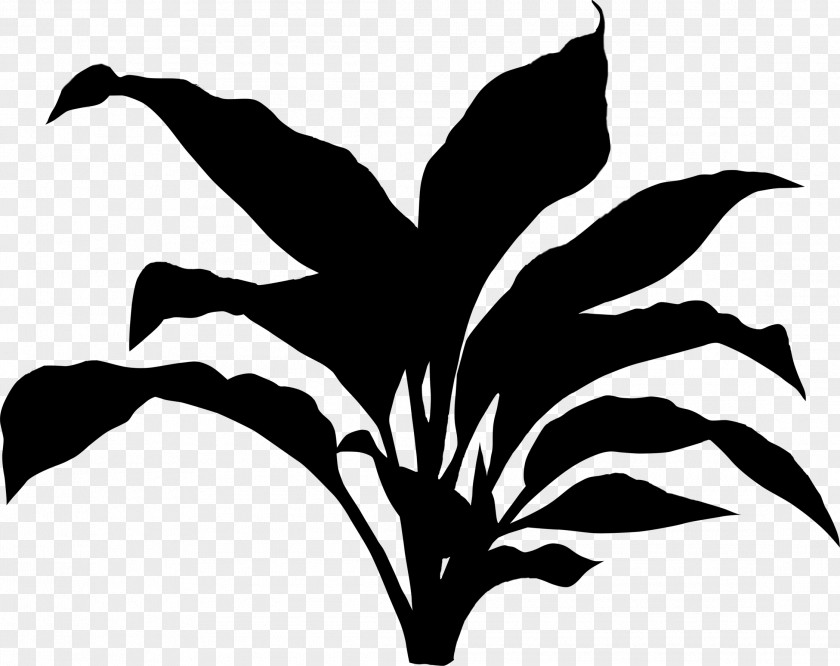 Flower Plant Stem Leaf Clip Art Silhouette PNG