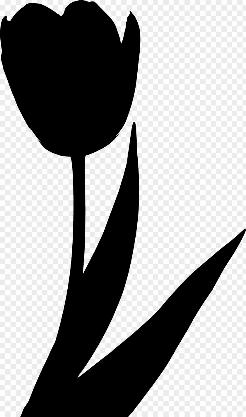 Flowering Plant Clip Art Silhouette Leaf PNG