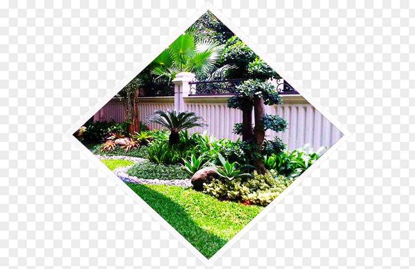 Fumida Garden Landscape Lawn HandymanSaung Jasa Pembuatan Taman PNG