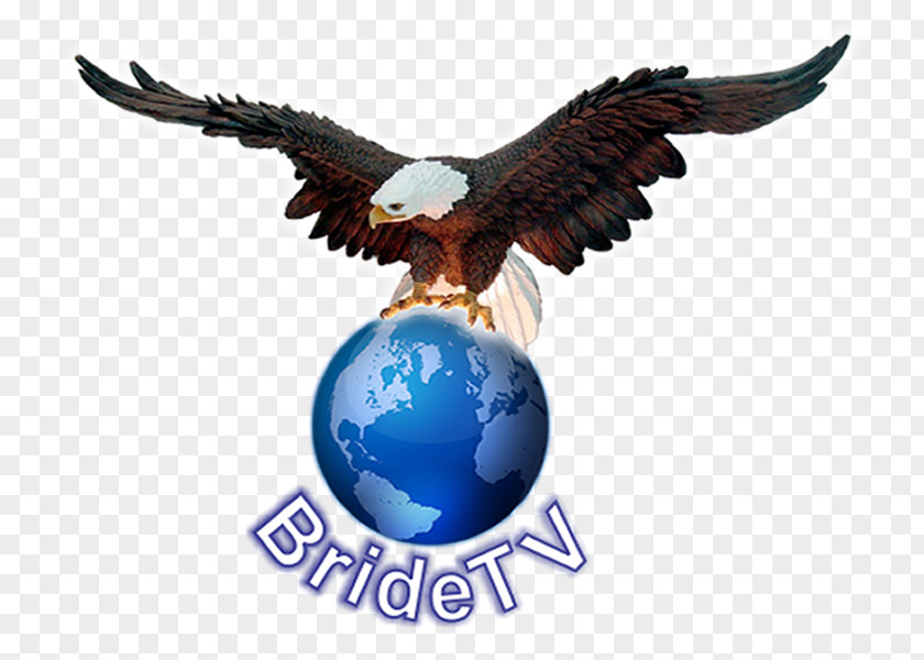 Independent Politician Weigelstown Bald Eagle Television Machine Power Take-off PNG