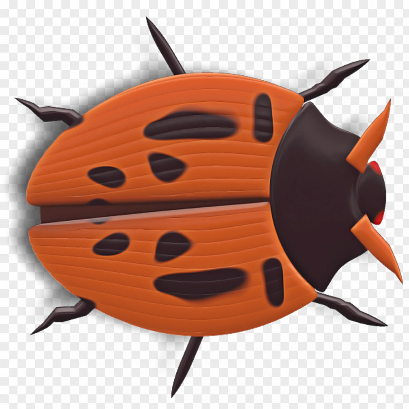 Orange PNG