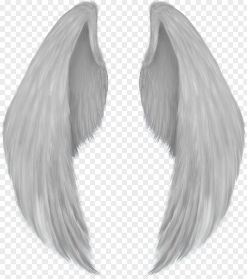 Wings Angel Wing Drawing PNG