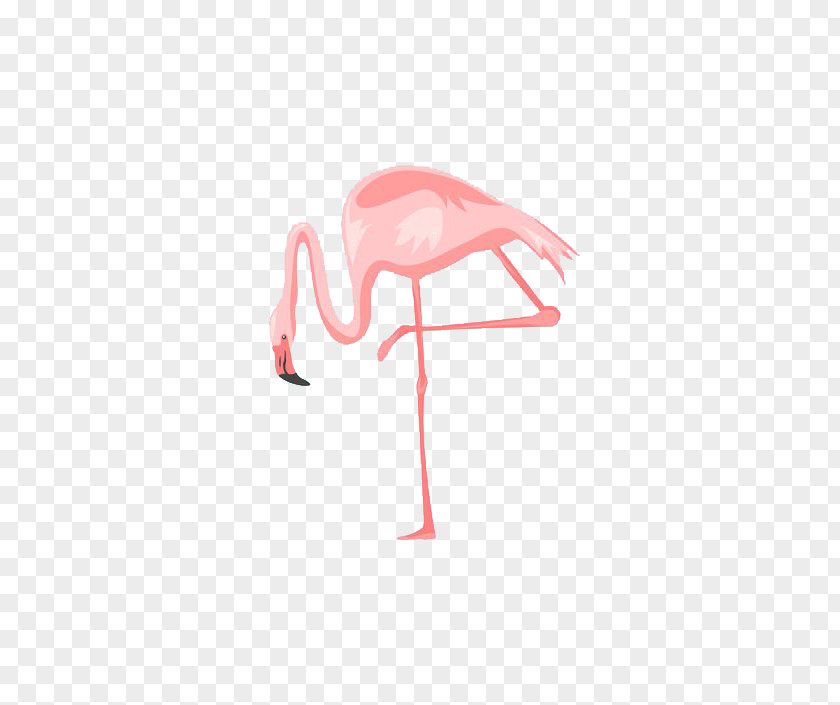 Flamingo Illustration Poster Royalty-free Wall PNG