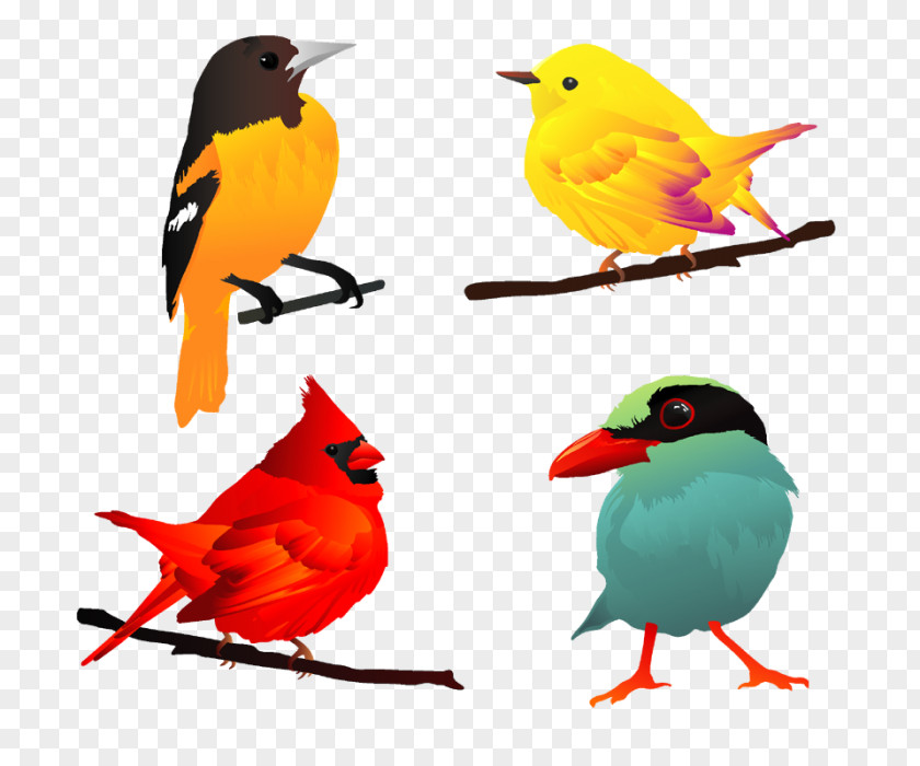 Free Bird Vector Clip Art PNG