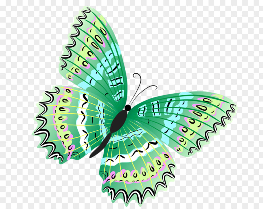 Romantic Butterfly Clip Art Image Openclipart Transparency PNG