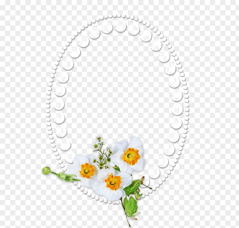 Circle Floral Design Picture Frames Clip Art PNG