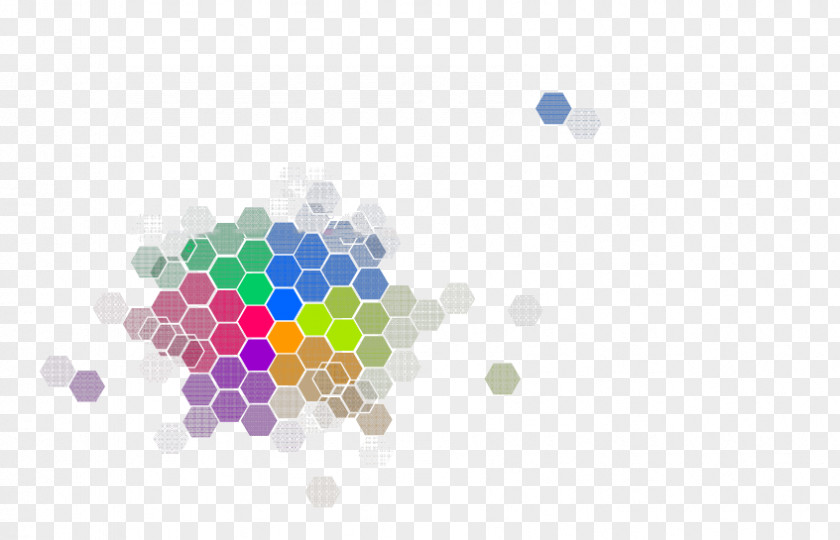 Colorful Polygon Color Download Information PNG