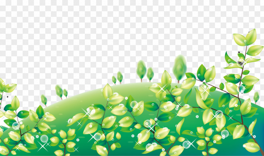 Free Spring Material Drawing Computer File PNG