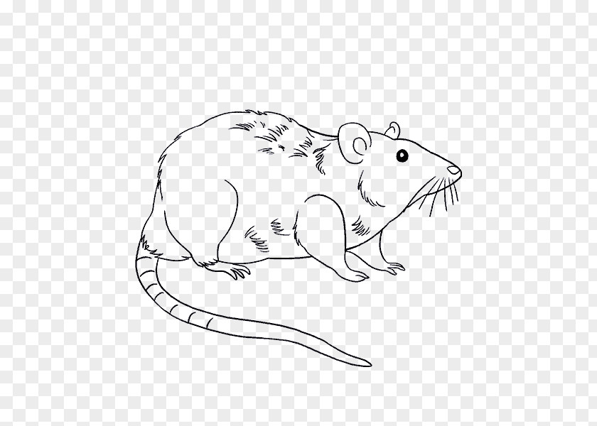 Ming Piece Simple Shading Drawing Laboratory Rat Mouse Brown PNG