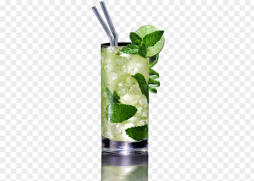 Mojito Cocktail Sea Breeze Gin And Tonic Rickey PNG