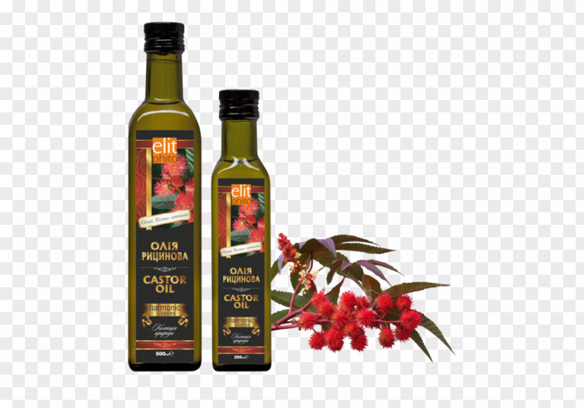 Olive Oil Vegetable Food Castor PNG