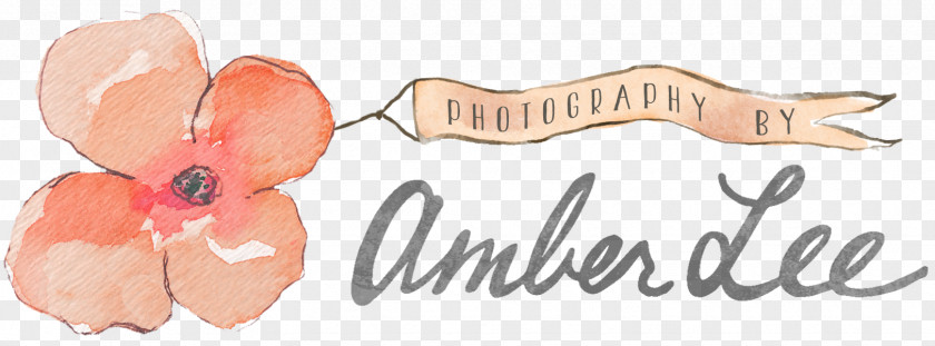 Photographer Photography By Amber Lee Fine-art Infant PNG