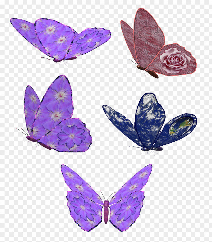 Purple Butterfly Insect Clip Art PNG