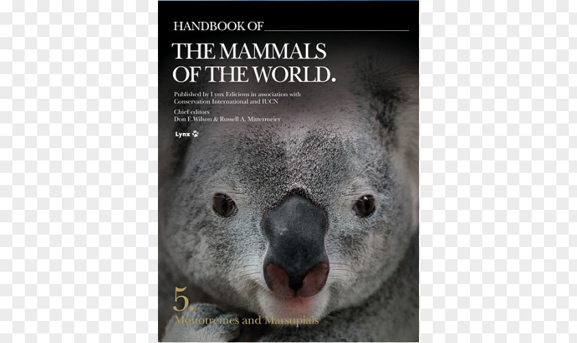 Volume 2 Handbook Of The Birds World MonotremeKoala Koala Mammals PNG