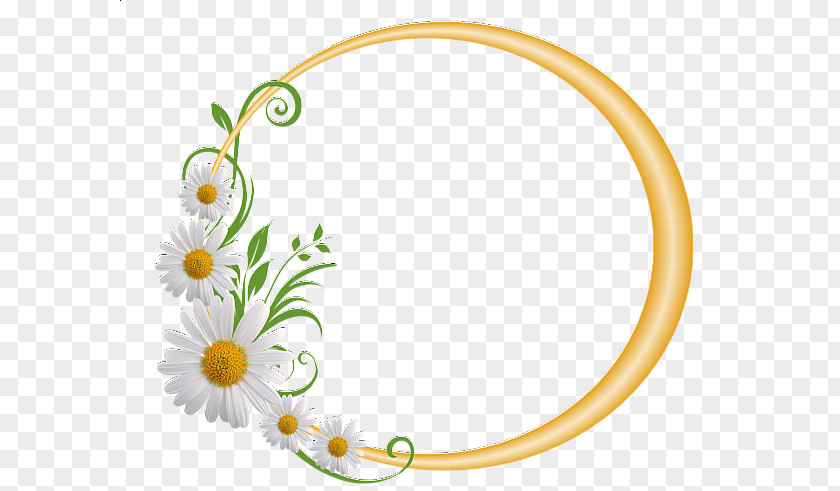 Daisy Yellow Picture Frames Graphic PNG