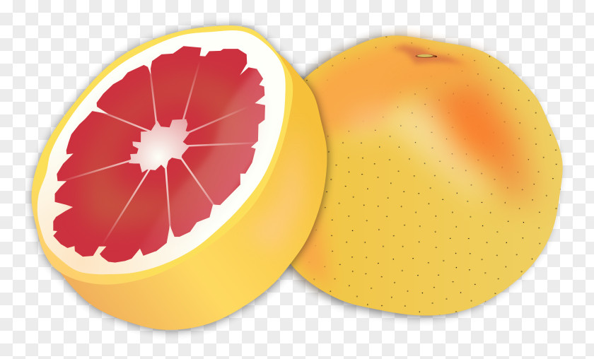 Bitter Cliparts Grapefruit Juice Sour Lemon PNG