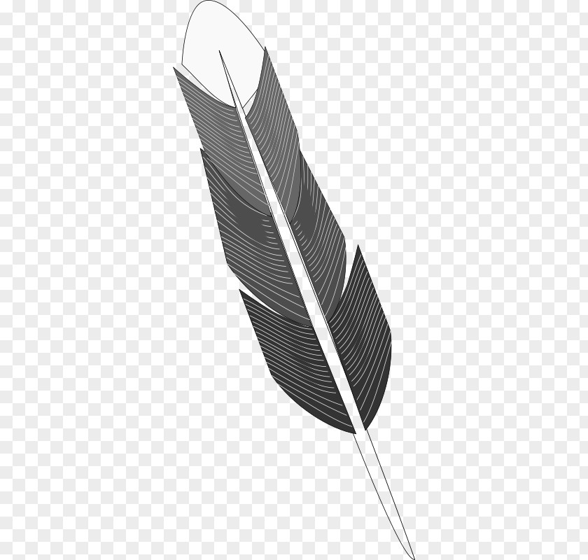 Feather Grayscale Black And White Drawing PNG