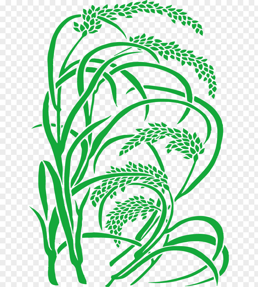 Paddy,Rice,Rice,Hedao Rice Paddy Field Clip Art PNG