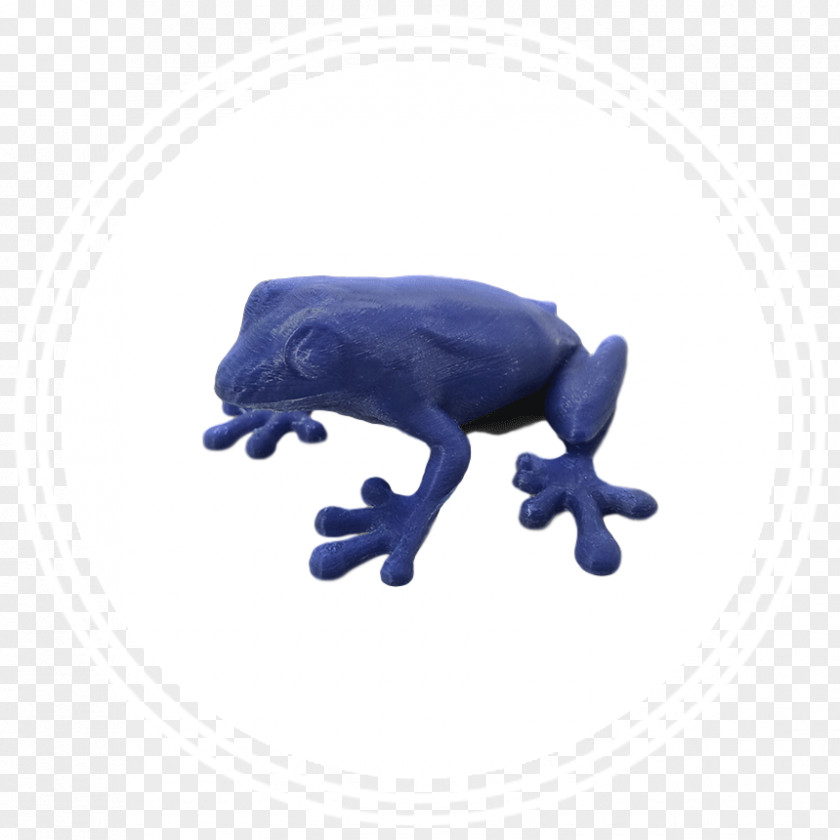 Watercolor Rabbit 3D Printing Printer Amphibian Frog PNG