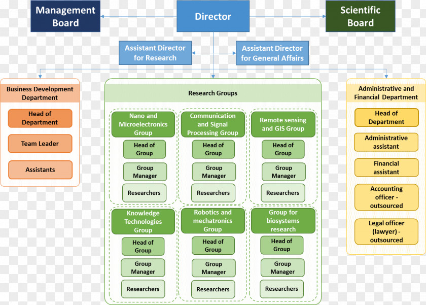 Bioarchaeology SKF Organizational Chart Management Board Of Directors PNG