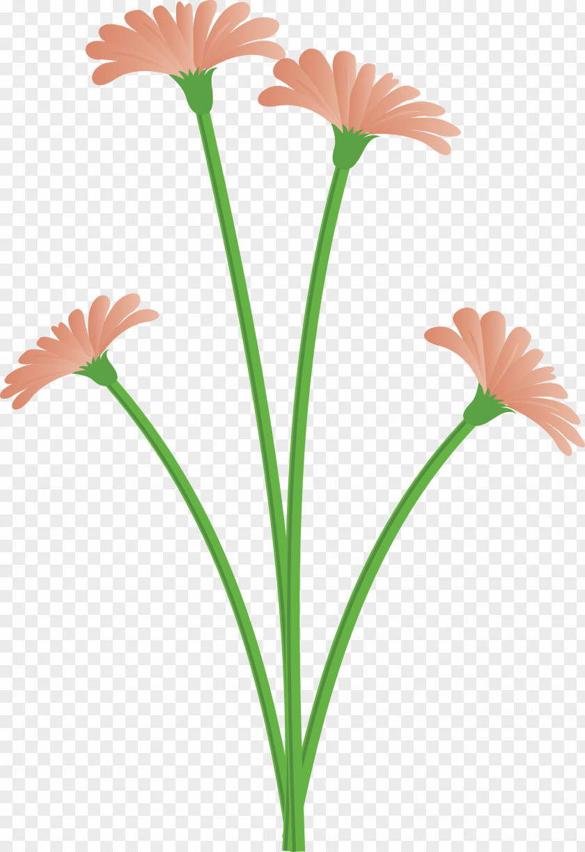 Dandelion Flower PNG