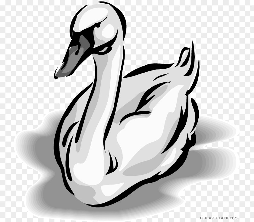 Goose Duck Clip Art Mute Swan Black PNG