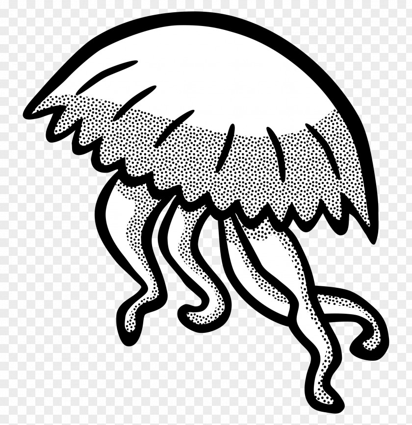 Jellyfish Black And White Clip Art PNG