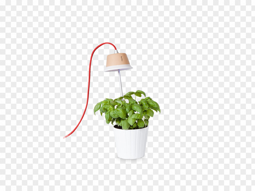 Lamp Flowerpot Light Fixture Plant Grow PNG