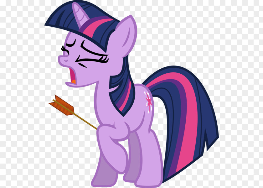 My Little Pony Twilight Sparkle Derpy Hooves PNG