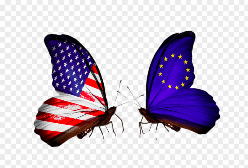 Two Flag Butterflies Of The United States Mexico Mexican Cuisine PNG