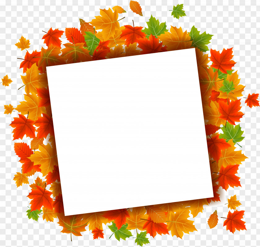 Vector Autumn Leaves Maple Leaf Download PNG